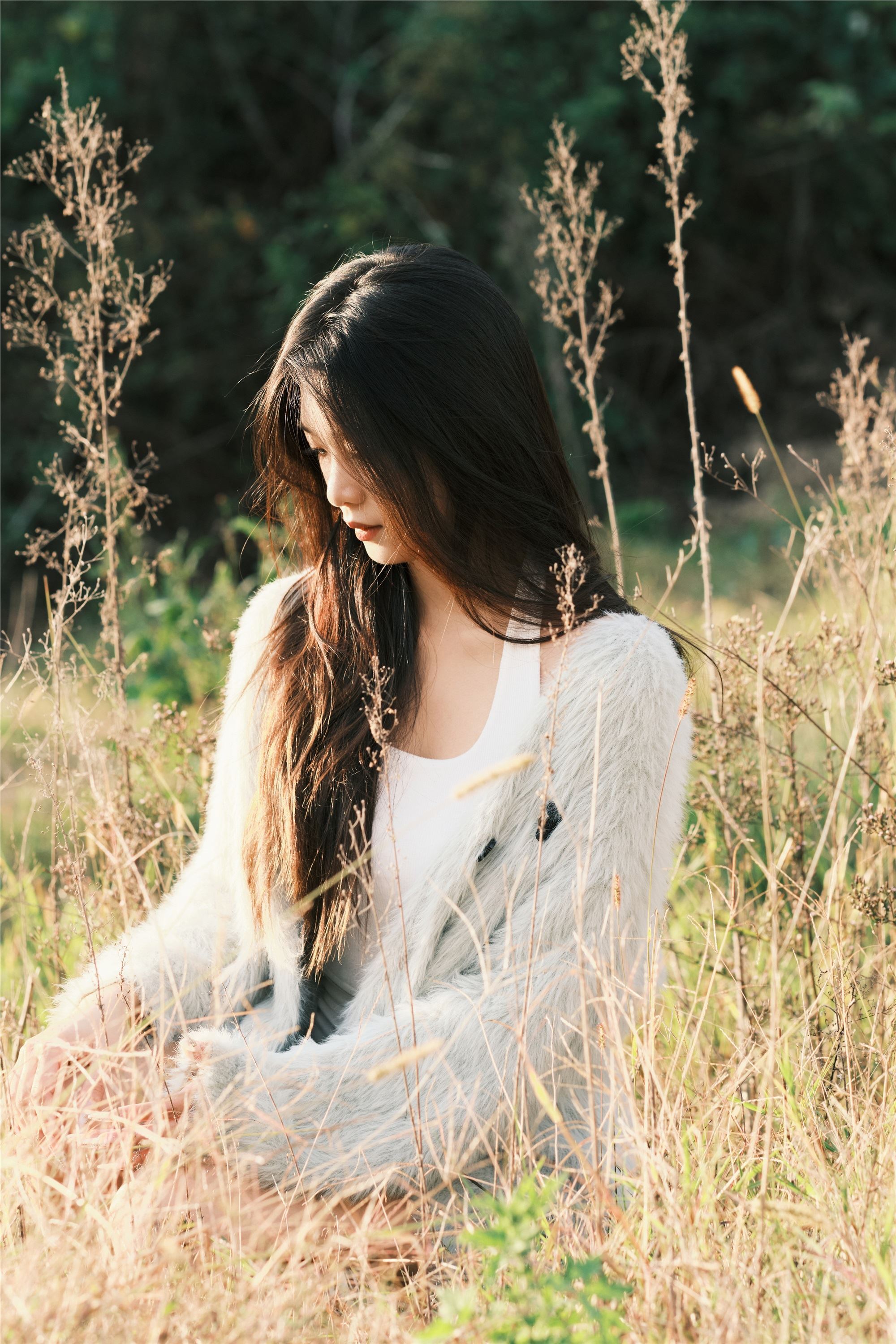 YITUYU艺图语 2025.01.03 湖边 一只狸猫